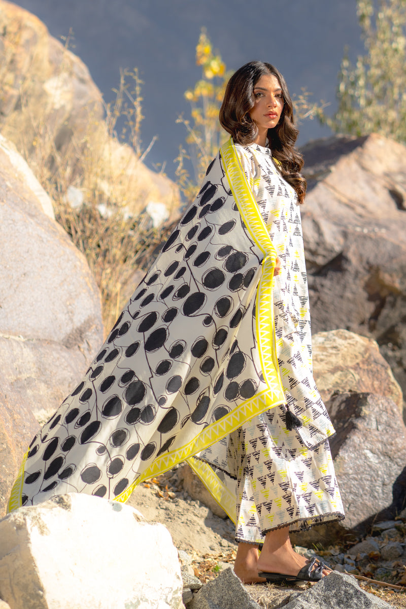 Tribal Muse – Geometric Printed Kurta Set with Statement Dupatta