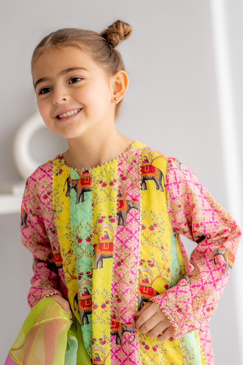 Little Mughal 3 piece