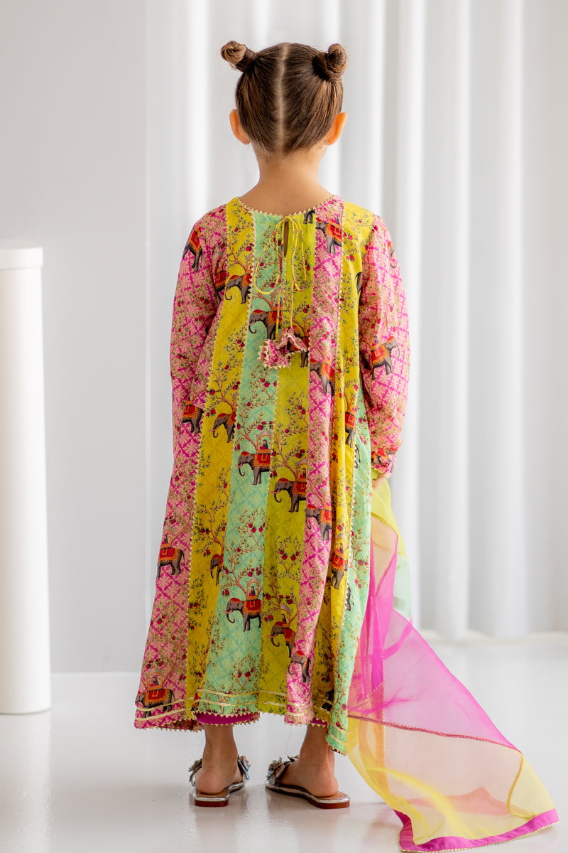 Little Mughal 3 piece