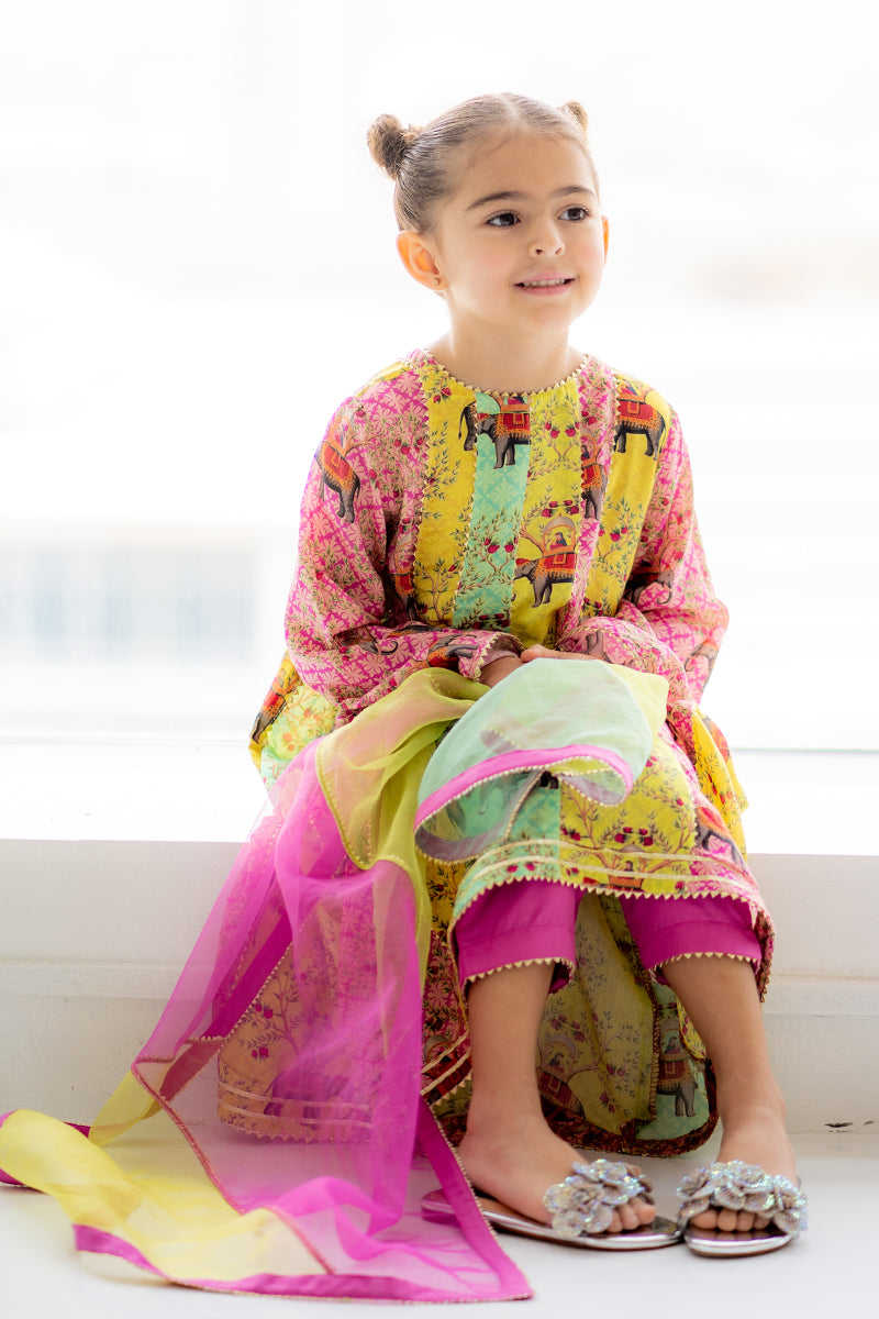 Little Mughal 3 piece
