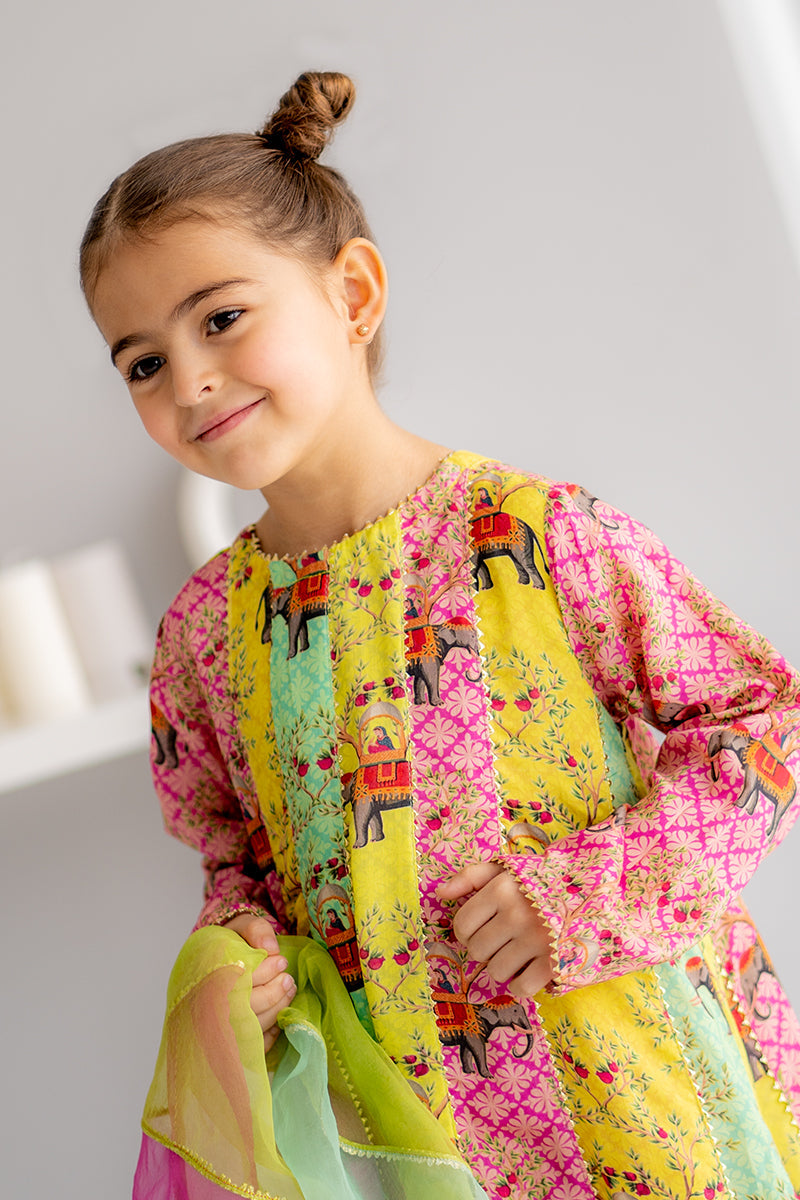 Little Mughal 3 piece