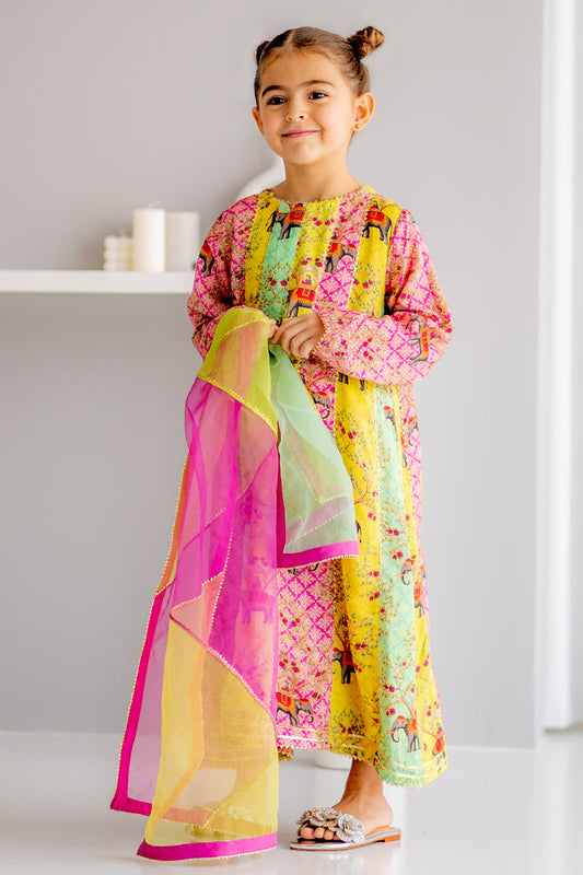 Little Mughal 3 piece