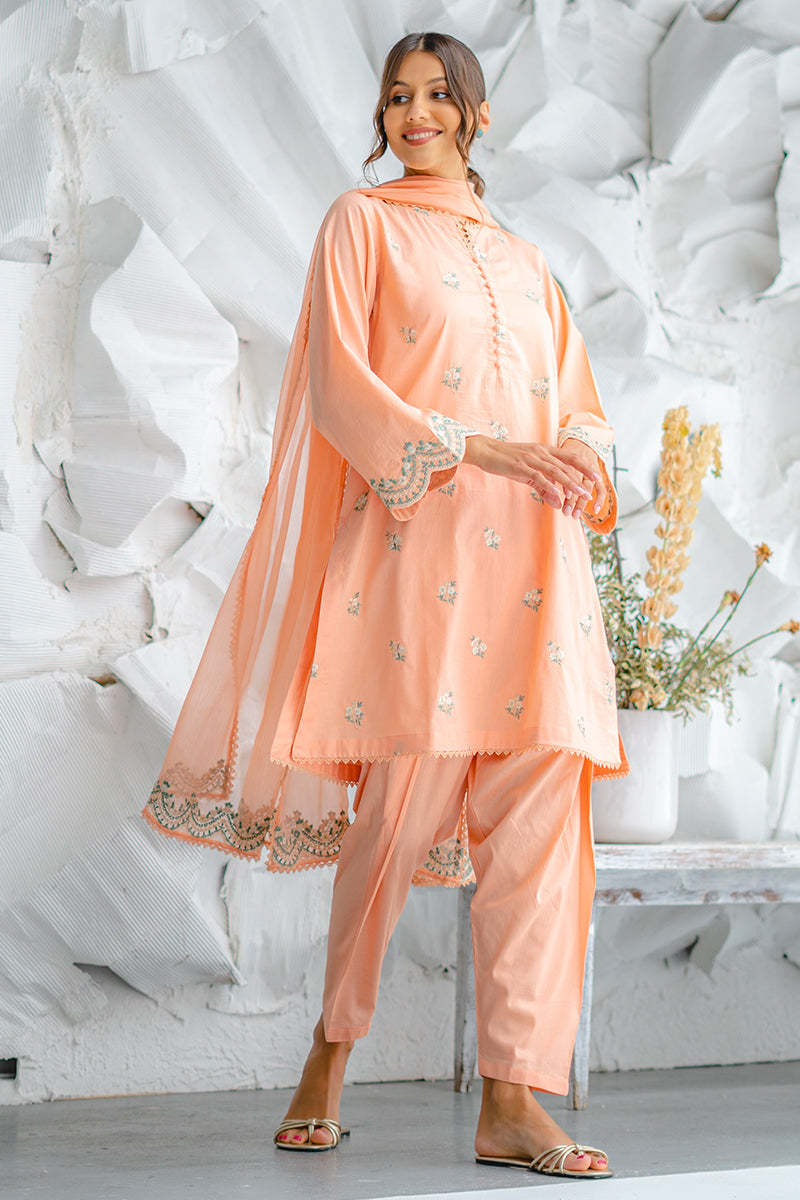 Coral 3 piece