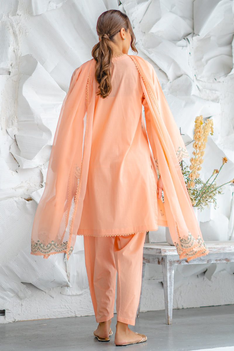 Coral 3 piece
